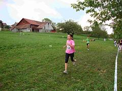 CTV09-530