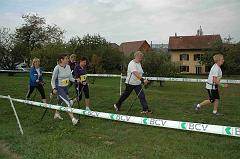 CTV09-006f