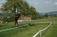 CTV09-232